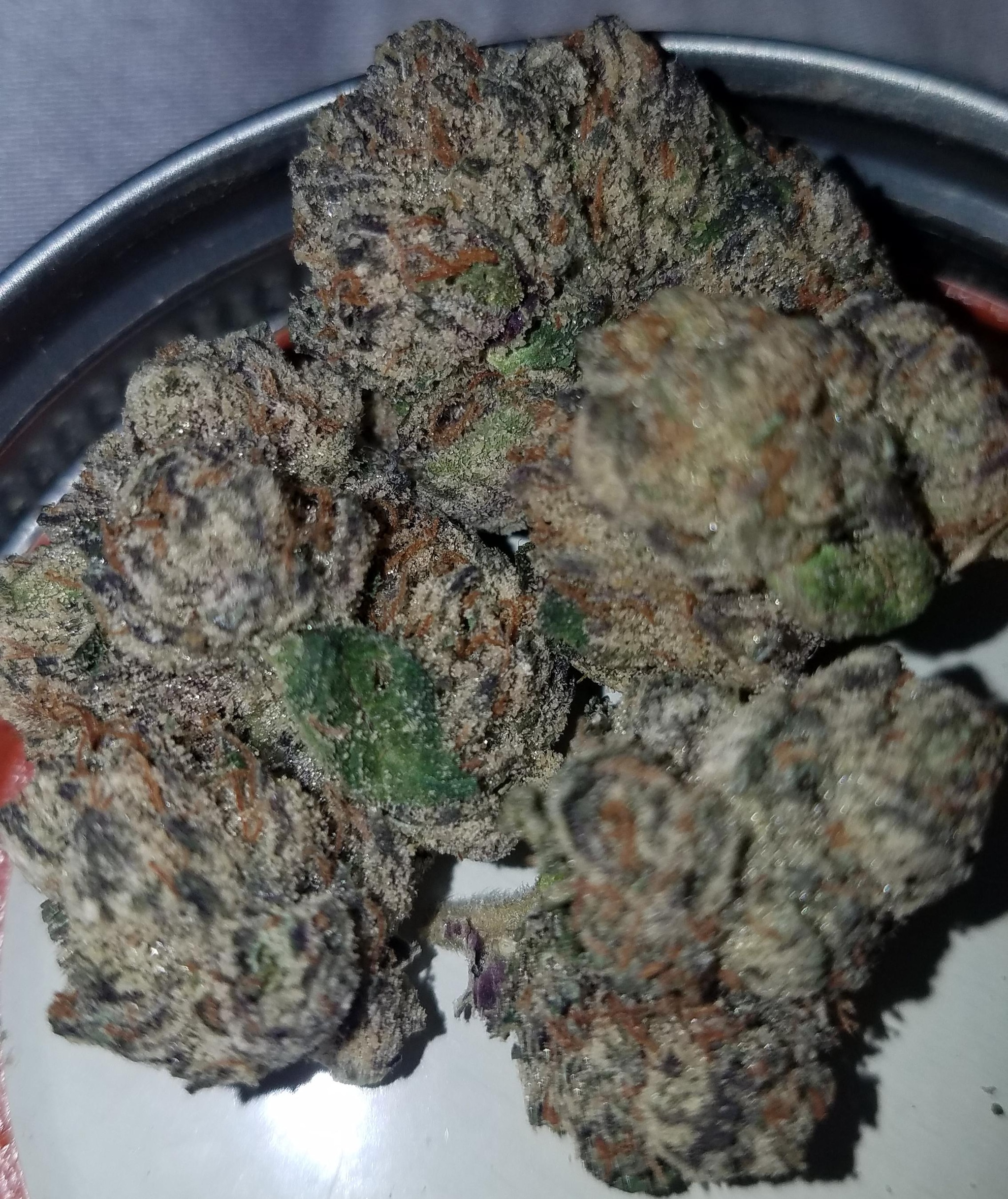 Miami runtz strain Dosage Guide for Beginners
