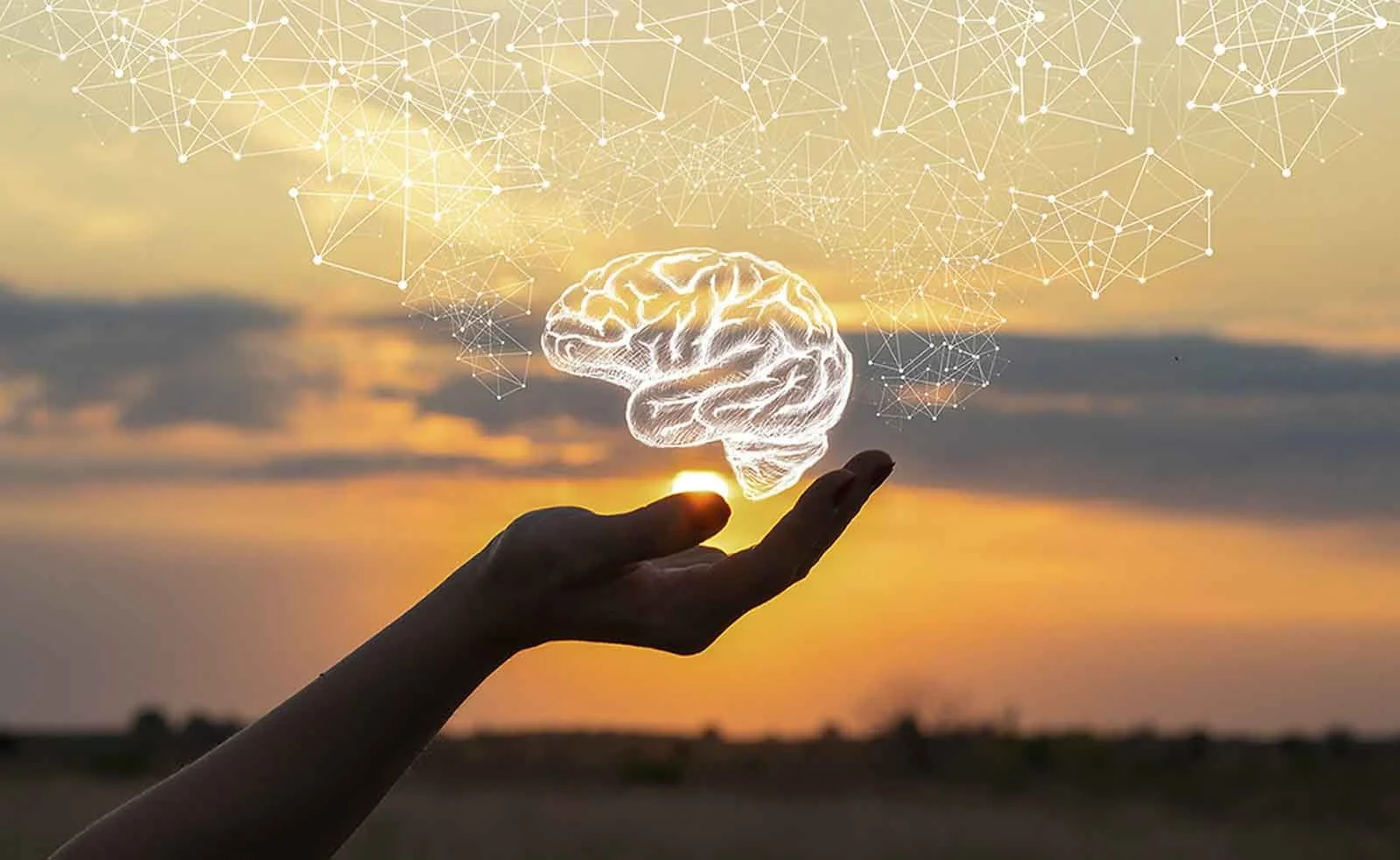 Mental Wellness Tools for Managing Emotional Challenges